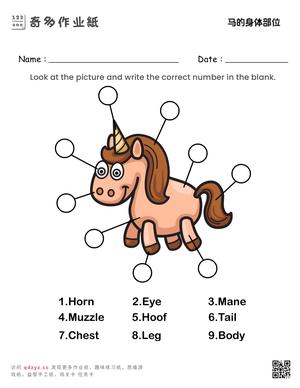 马的身体部位
