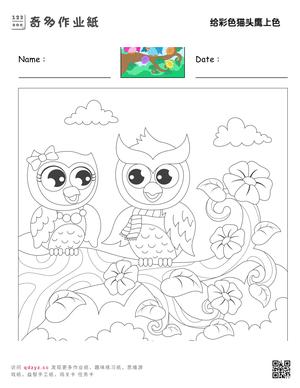 给彩色猫头鹰上色