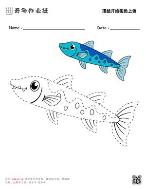 描绘并给梭鱼上色