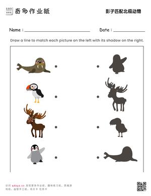 影子匹配北极动物