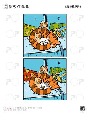 《猫咪找不同》