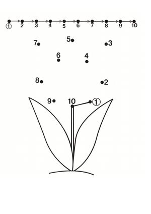 数字1-10连线与填色二 第4页