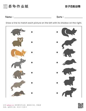 影子匹配动物