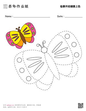 临摹并给蝴蝶上色