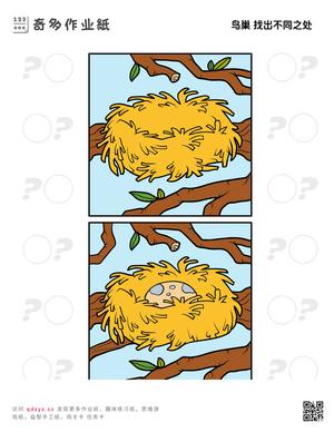 鸟巢 找出不同之处