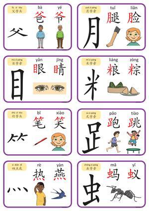 认识偏旁部首 第4页