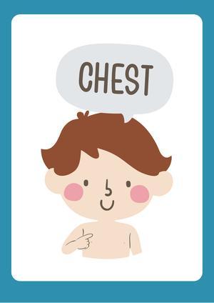 认识人体（19张） 第5页