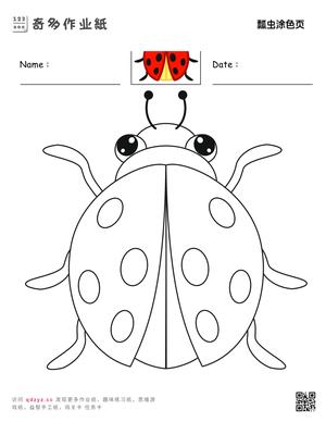 瓢虫涂色页