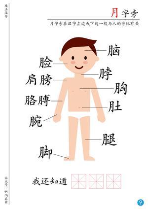 偏旁识字（20页） 第8页