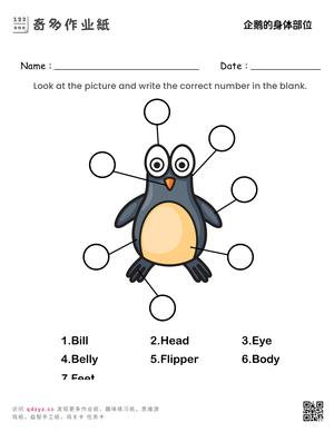 企鹅的身体部位