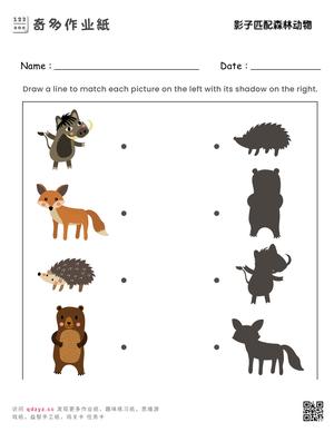影子匹配森林动物