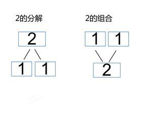 10的分解与组成（大字版） 第1页