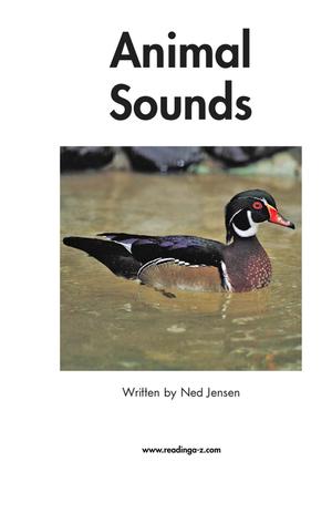 RAZ 分级阅读 B级上 第5页