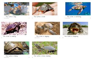 RAZ 分级阅读 B级下 第4页