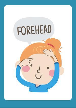 认识人体（19张） 第7页