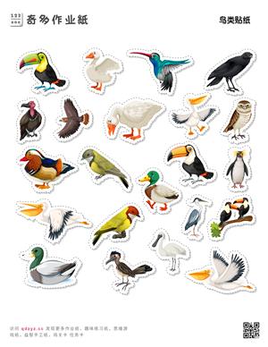 鸟类贴纸