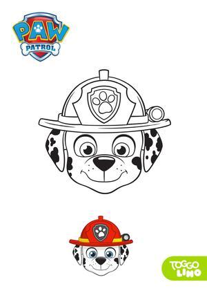 汪汪队大合集 第4页