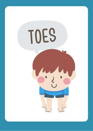 认识人体（19张） 第6页