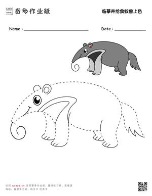 临摹并给食蚁兽上色