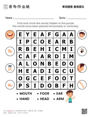 单词搜索 身体部位