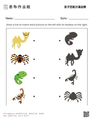 影子匹配沙漠动物