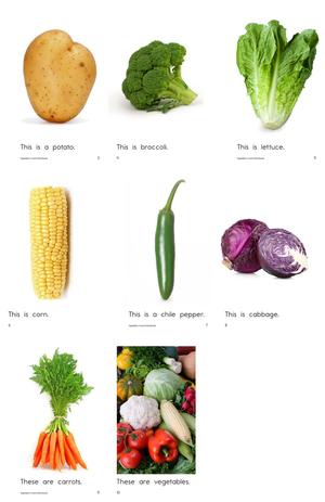 RAZ分级阅读 Level A(上) 第2页