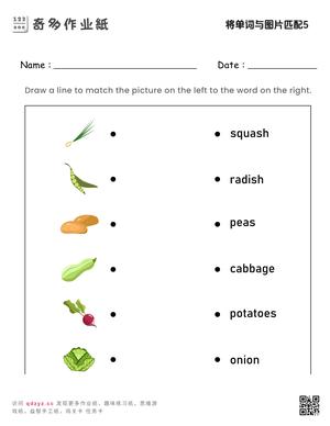 将单词与图片匹配5