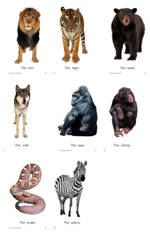 RAZ 分级阅读 A级 第2页