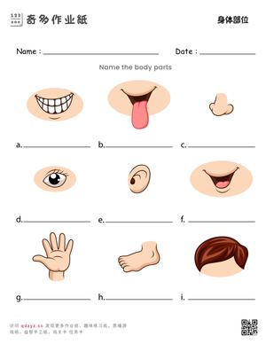 身体部位