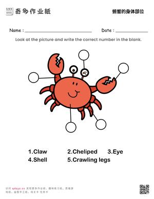 螃蟹的身体部位