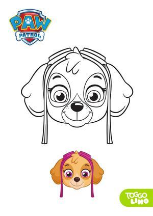 汪汪队大合集 第3页