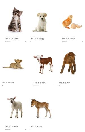 RAZ分级阅读 Level A(上) 第10页