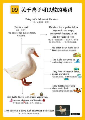 科普类句式102句 第9页