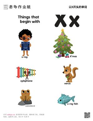 以X开头的单词