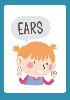 认识人体（19张） 第2页