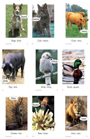 RAZ 分级阅读 B级上 第6页