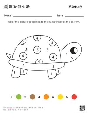 给乌龟上色