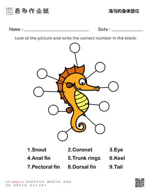 海马的身体部位