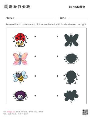 影子匹配昆虫
