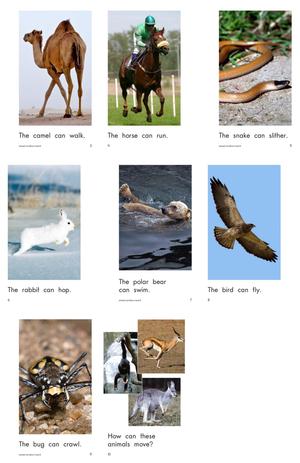 RAZ 分级阅读 B级上 第9页