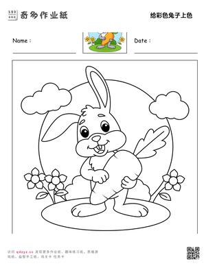 给彩色兔子上色