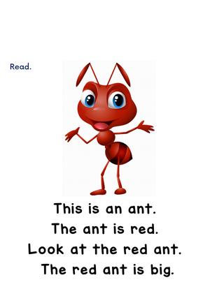 基础词汇100个 第8页