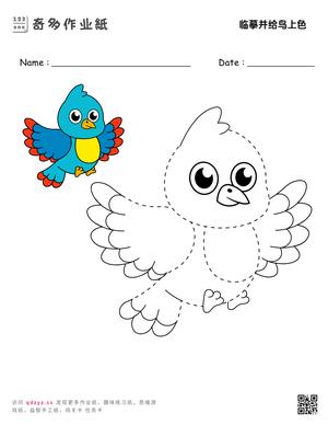 临摹并给鸟上色