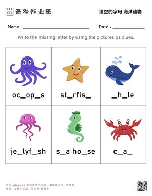 填空的字母 海洋动物