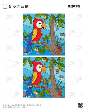 鹦鹉找不同