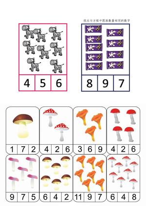 数物对应16页 第8页