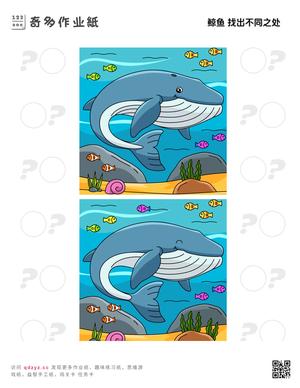 鲸鱼 找出不同之处