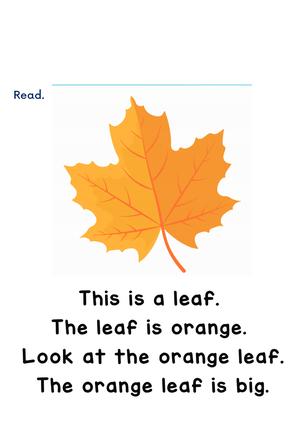 基础词汇100个 第10页