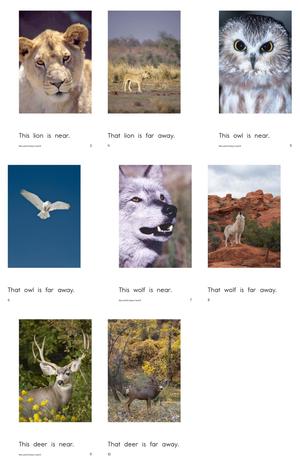 RAZ 分级阅读 B级上 第4页