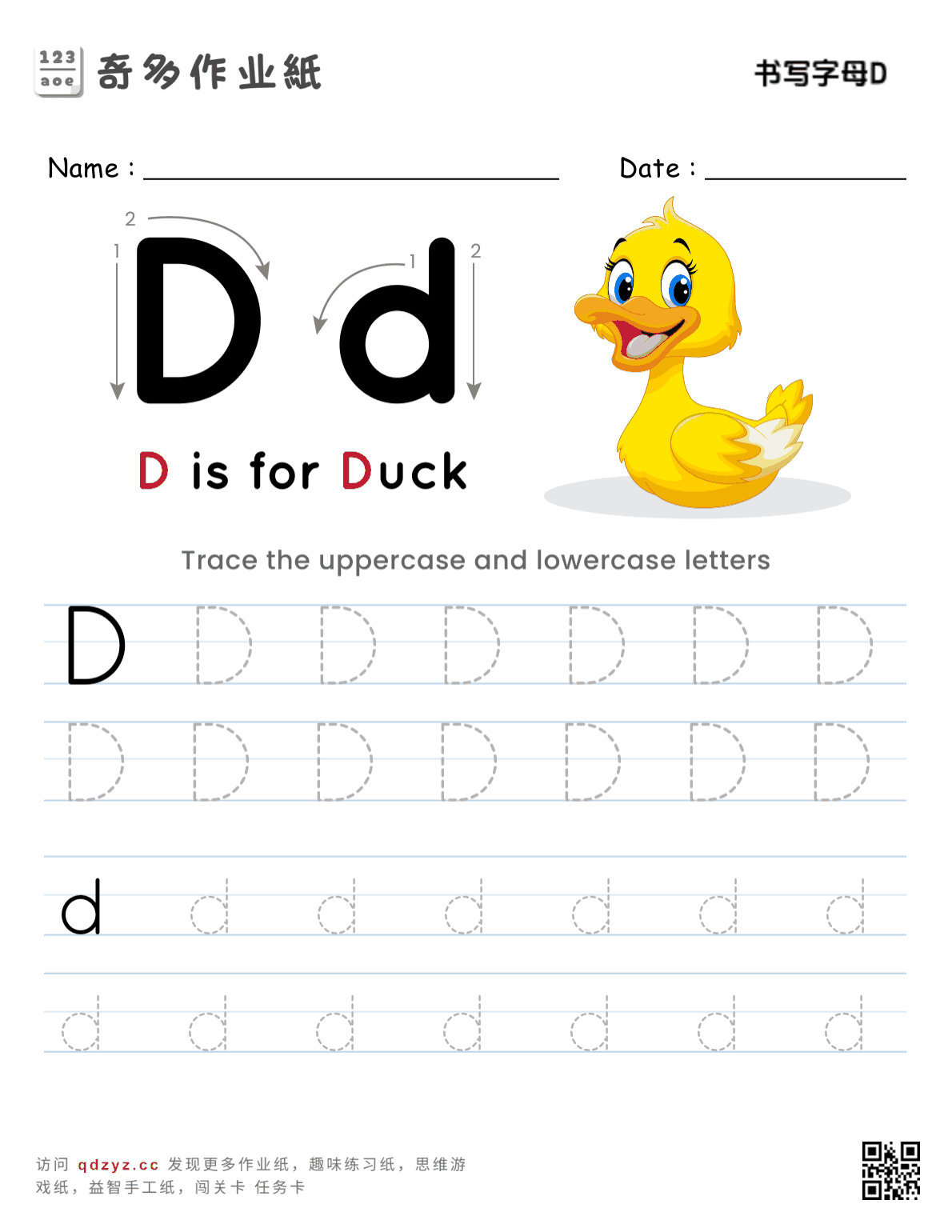 书写字母D